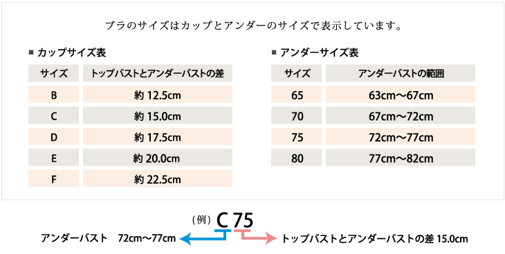 ロングラインブラサイズについて説明